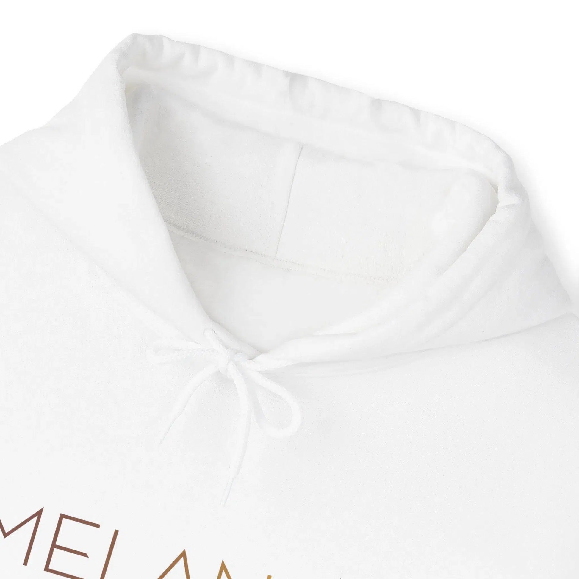 Melanin Hoodie Black people hoodies