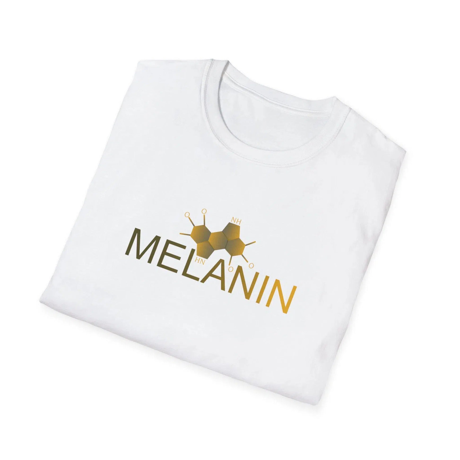 Melanin t shirt